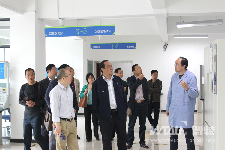 湖北清江水电公司领导到访微特考察调研