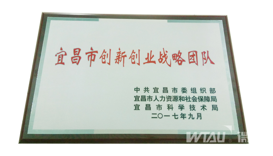微特电子荣获宜昌市创新创业战略团队表彰