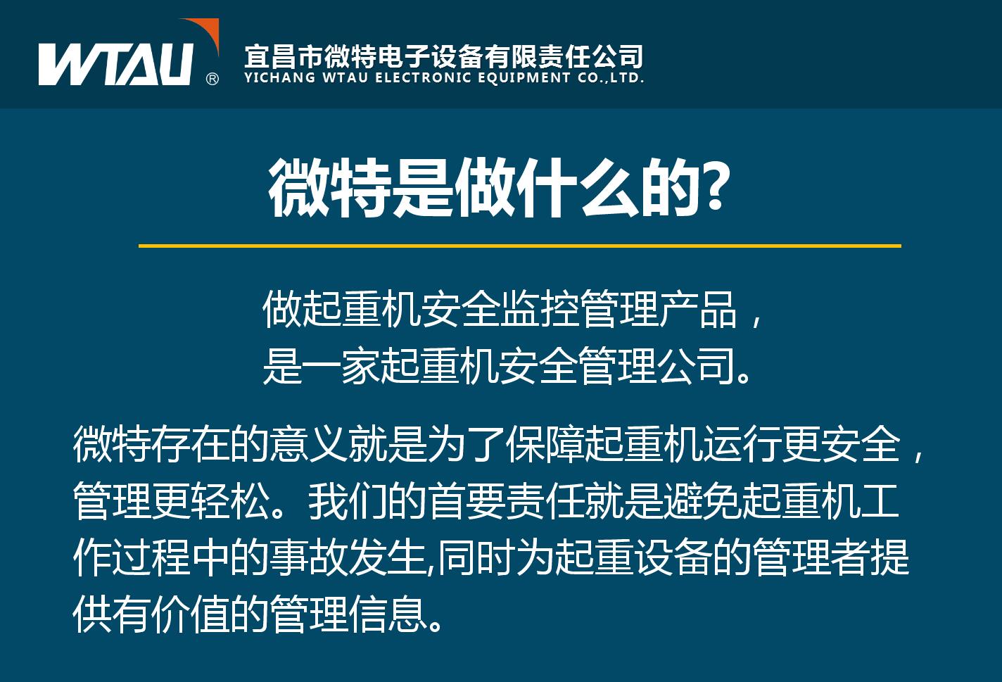 微特理念及未来愿景的解读