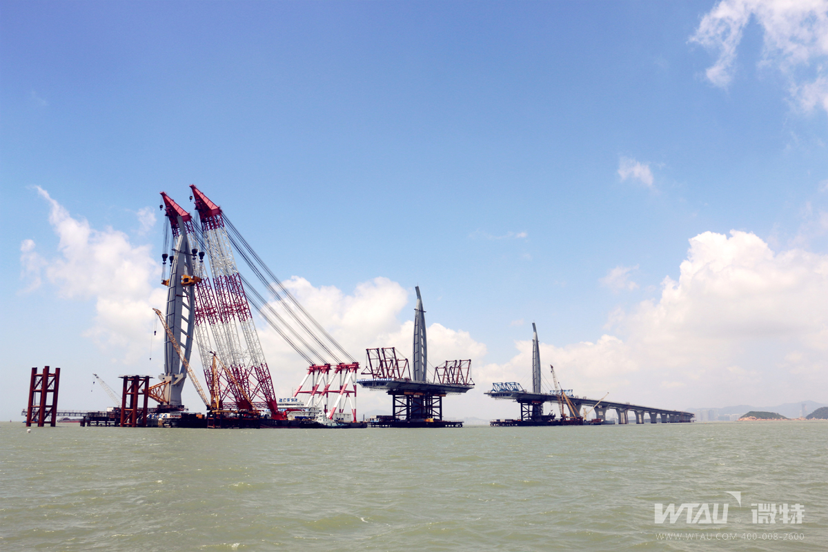 中国科技核心期刊发表微特《协手标准化改革同行 守护起重机吊装安全》的文章