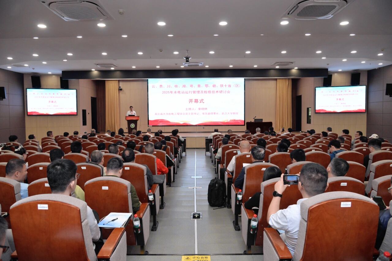 水电站运检研讨会.jpg
